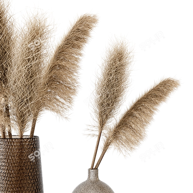 Brown Pampas: 3D Models & Maps 3D model image 3