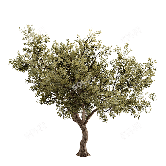 Giant Tree 3D Model: High-quality, Versatile Design 3D model image 3