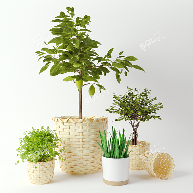 Stylish KAFFEBÖNA Plant Pot Set 3D model image 1