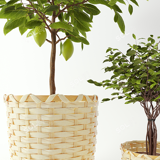 Stylish KAFFEBÖNA Plant Pot Set 3D model image 2