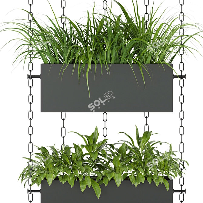  Premium Plant Collection: Volume 85 3D model image 3