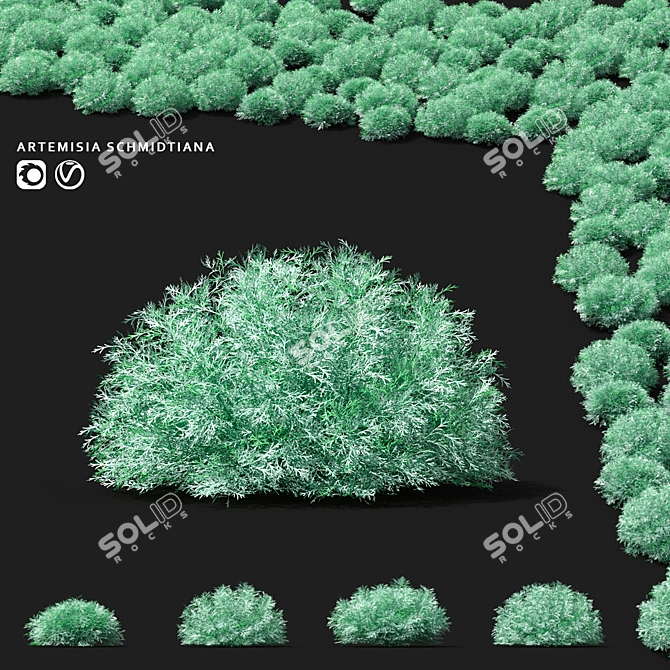 Schmidt Shrub: Exquisite Artemisia 3D model image 1