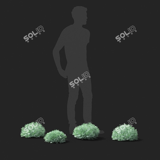 Schmidt Shrub: Exquisite Artemisia 3D model image 2