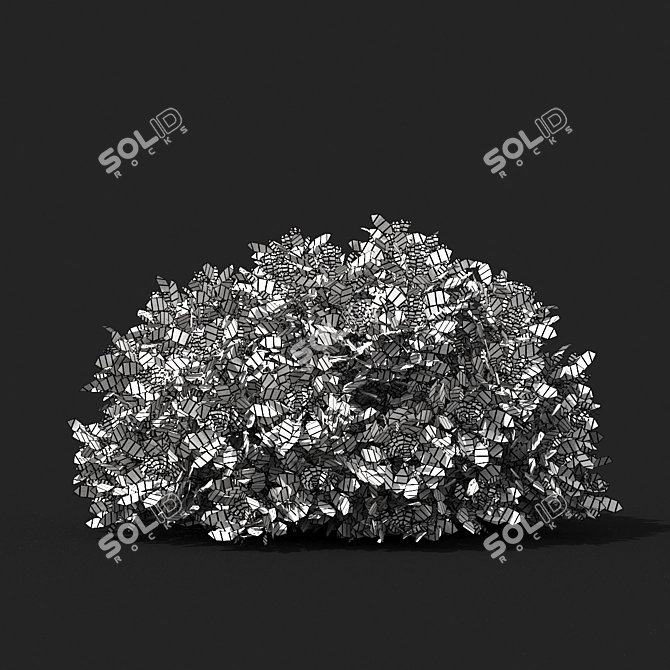 Schmidt Shrub: Exquisite Artemisia 3D model image 4