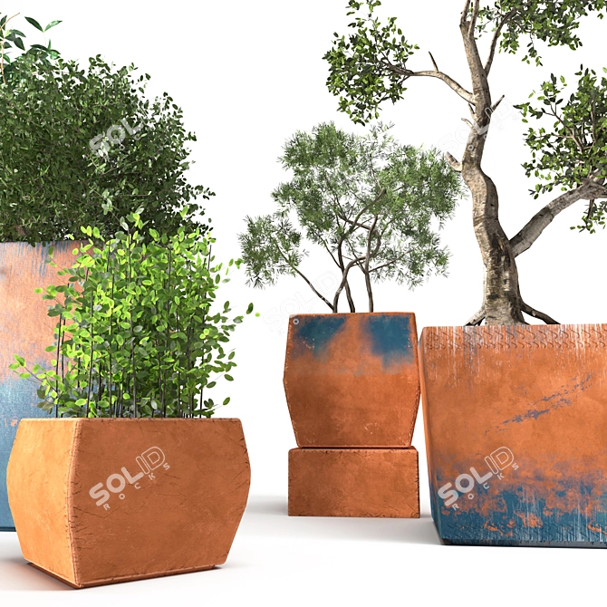 Indoor Plant Collection: Stylish and Versatile 3D model image 2