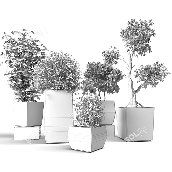 Indoor Plant Collection: Stylish and Versatile 3D model image 4