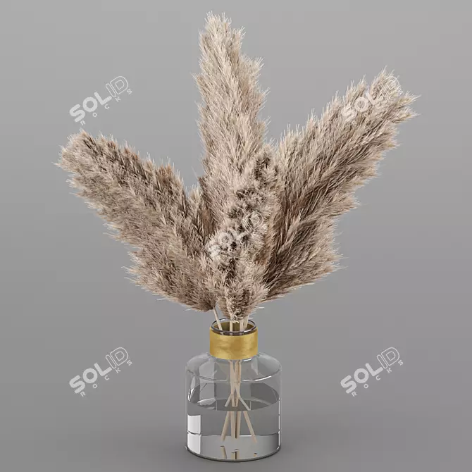 Natural Dry Plant Decoration 3D model image 1