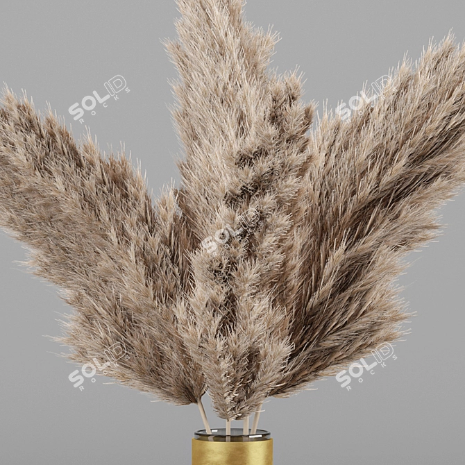 Natural Dry Plant Decoration 3D model image 4