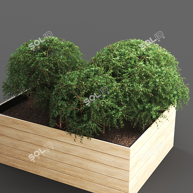 EcoPlant441: High-Poly & Distinctive 3D model image 3