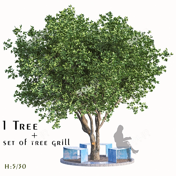 Camphor Tree Set with Tree Grill 3D model image 1