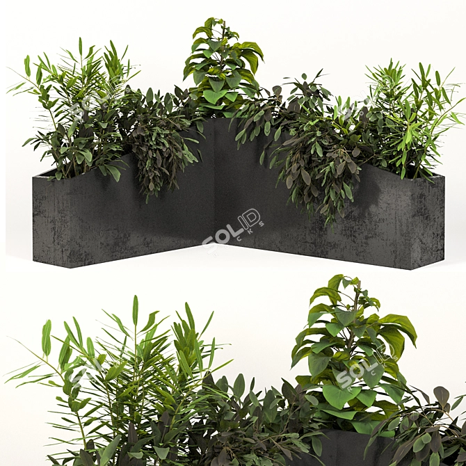 Outdoor Garden Plant Trio 3D model image 1