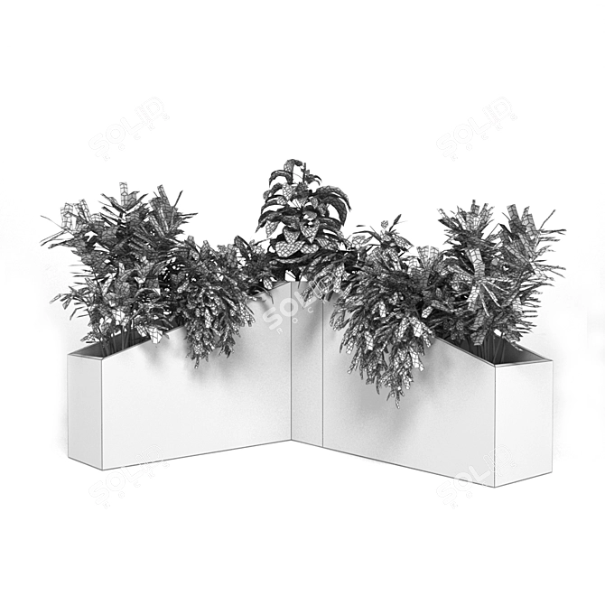 Outdoor Garden Plant Trio 3D model image 2