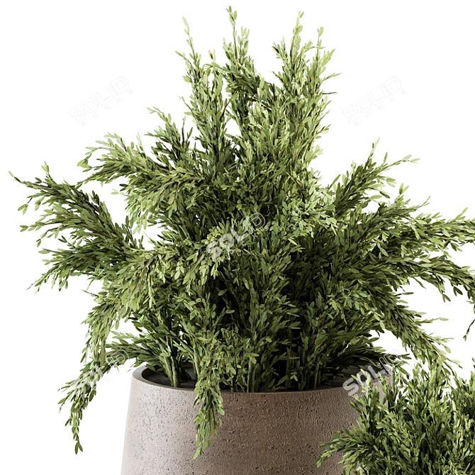 180 Indoor Plant Set: Pot & Greenery! 3D model image 3