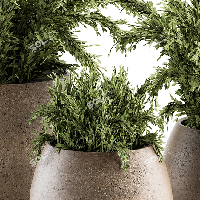 180 Indoor Plant Set: Pot & Greenery! 3D model image 4