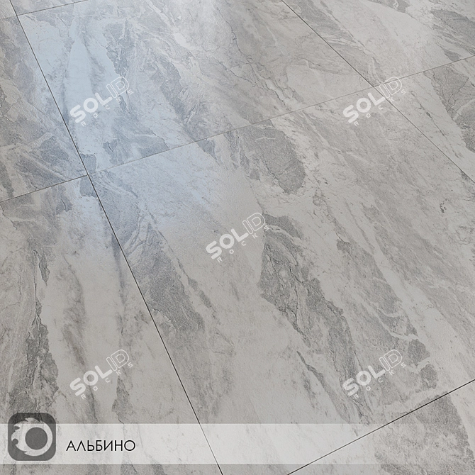 Albino Gray Ceramic Tiles 3D model image 1