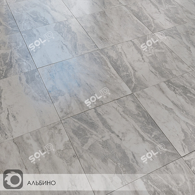 Albino Gray Ceramic Tiles 3D model image 3