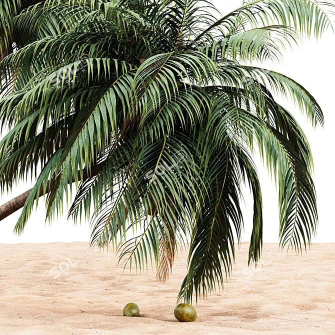 Tropical Paradise: 4 Coconut Palms 3D model image 3