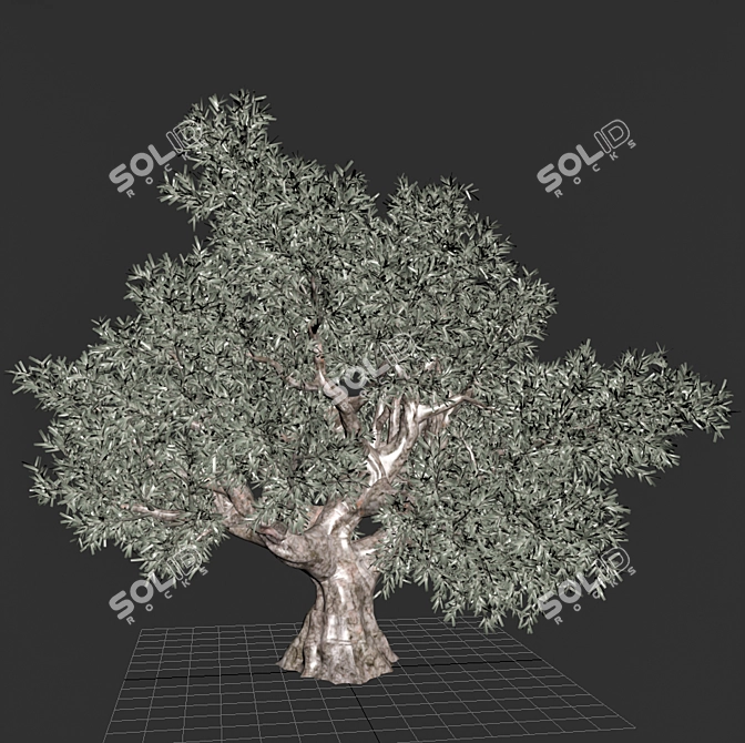  Elegant Olive Tree Sculpture 3D model image 5