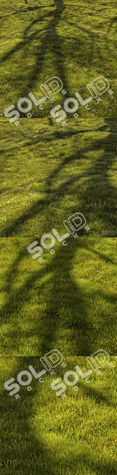 Title: Lush Grassland 3D Landscape 3D model image 6