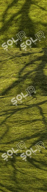 Title: Lush Grassland 3D Landscape 3D model image 7