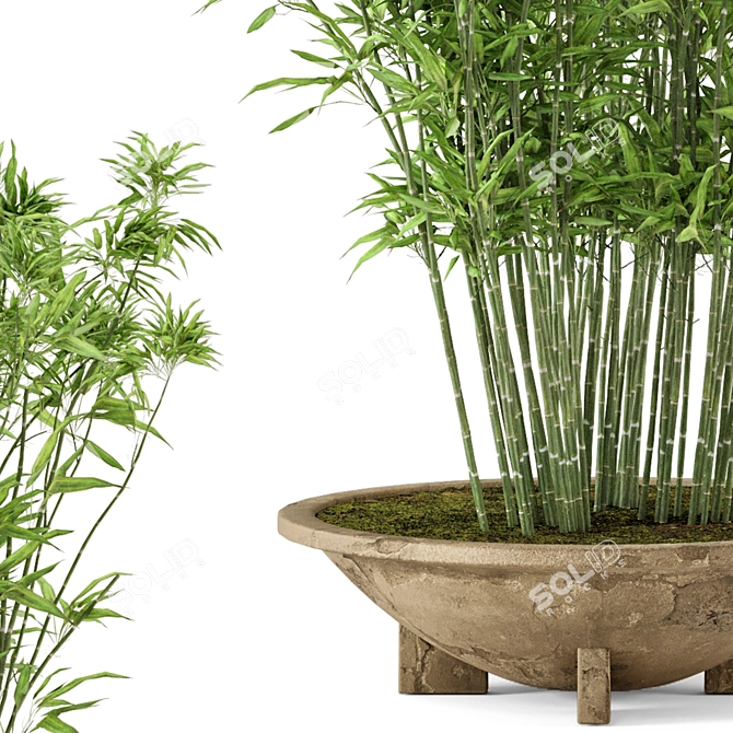 Rustic Bamboo Outdoor Plants - Set 56 3D model image 2