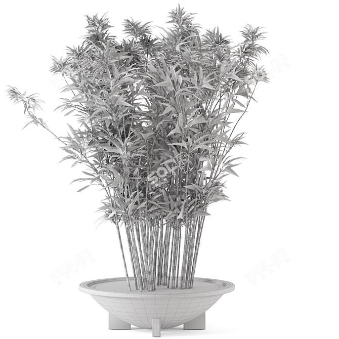 Rustic Bamboo Outdoor Plants - Set 56 3D model image 5