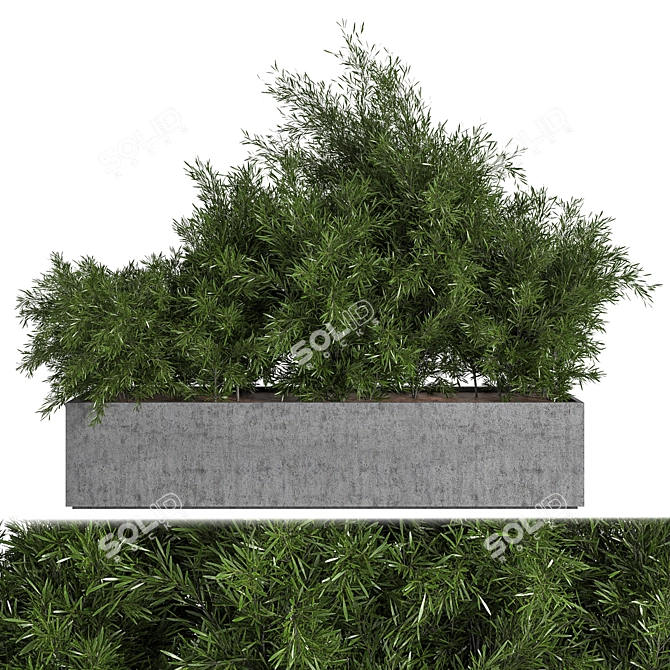 Concrete Box Outdoor Tree - Versatile Interior/Exterior Accent 3D model image 1