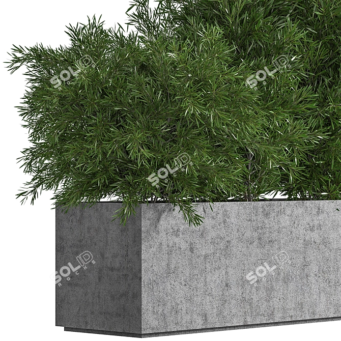 Concrete Box Outdoor Tree - Versatile Interior/Exterior Accent 3D model image 3