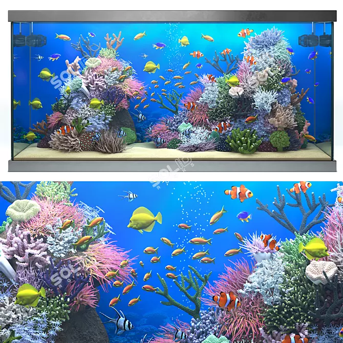 Title: Oceanic Delight Seawater Aquarium 3D model image 6