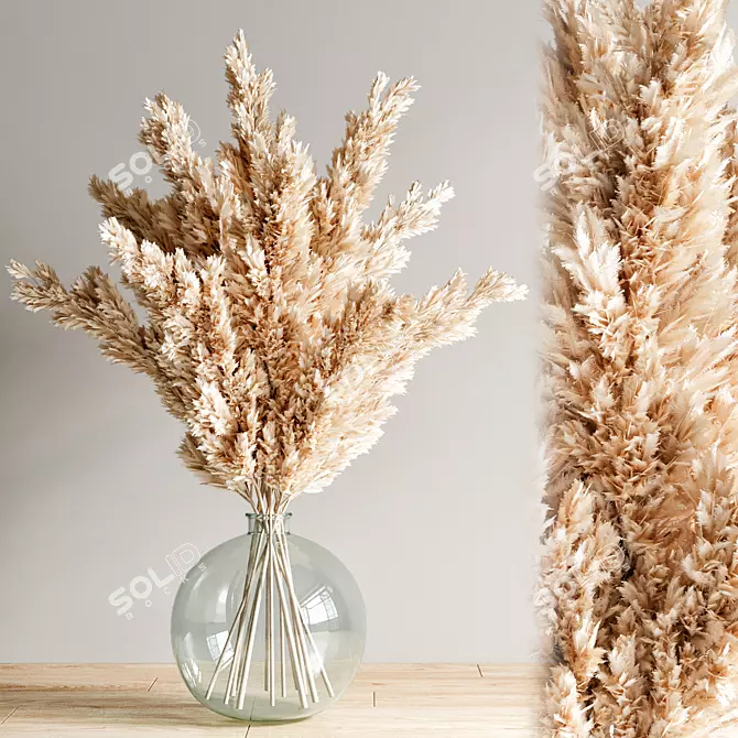 Elegant Pampas Decor 3D model image 1