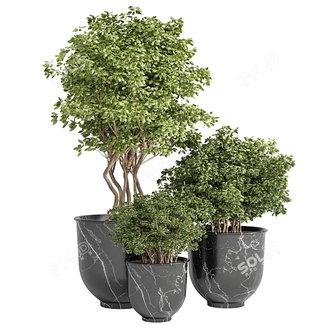 Stunning Outdoor Plant: 08 3D model image 1