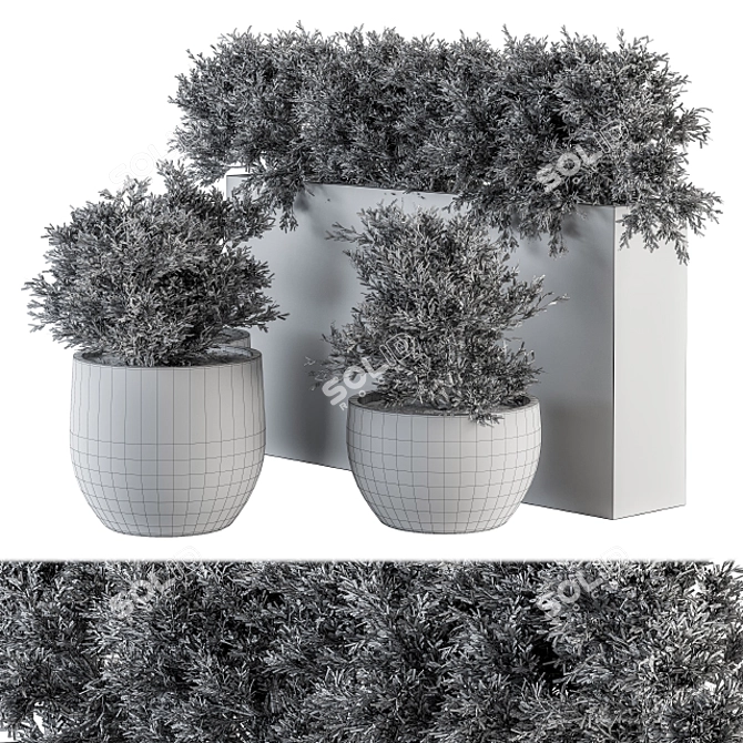 Botanical Bliss: Indoor Plant Set 3D model image 5