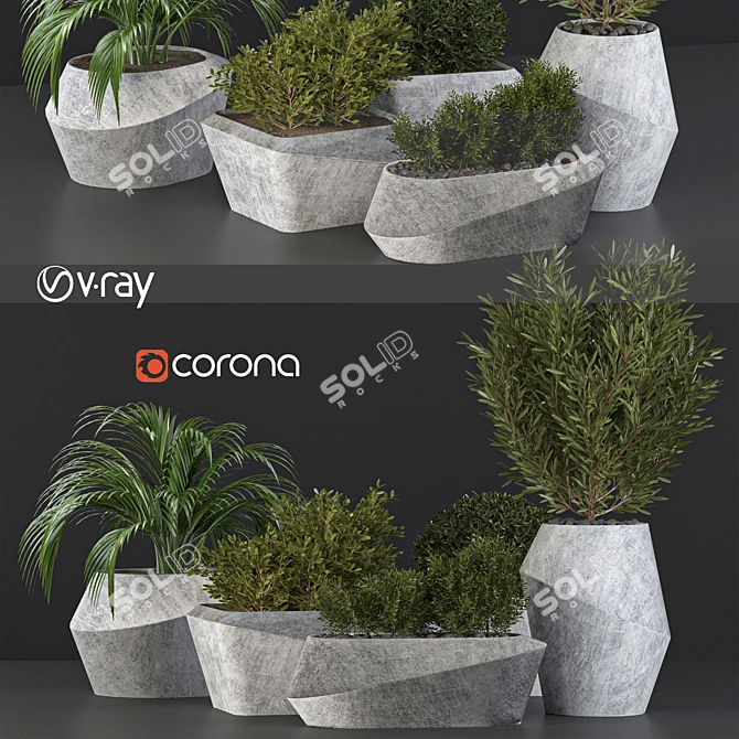 Outdoor Plant Collection 3D model image 1