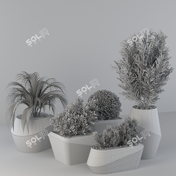 Outdoor Plant Collection 3D model image 4