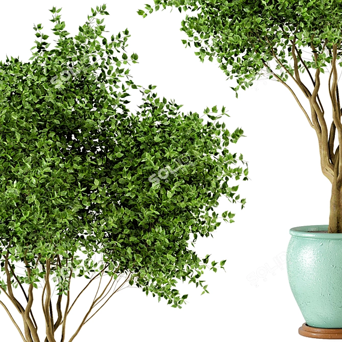 Rusty Ceramic Pot Indoor Tree 3D model image 2