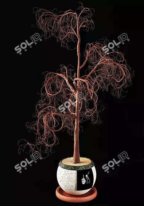 Versatile Seasonal Tree 3D model image 2