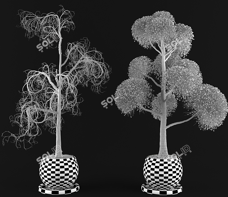 Versatile Seasonal Tree 3D model image 4