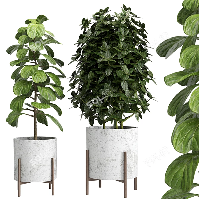 Natural Green Foliage for Indoor Decor 3D model image 3