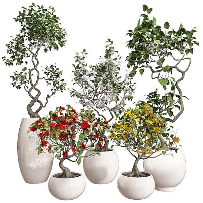 Colorful Bonsai Set for Stylish Interiors 3D model image 1