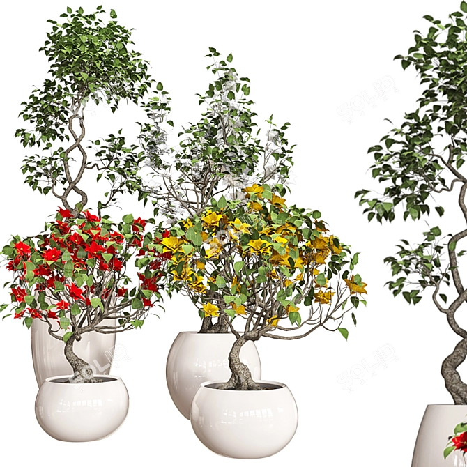 Colorful Bonsai Set for Stylish Interiors 3D model image 2