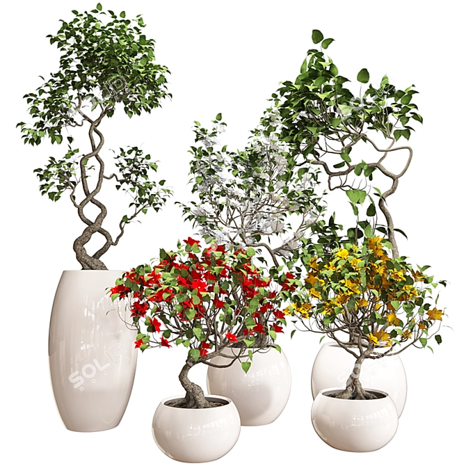 Colorful Bonsai Set for Stylish Interiors 3D model image 3