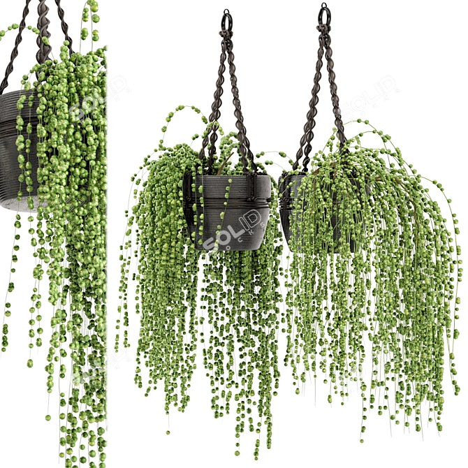 Rustic Hanging Plants Set with Macrame 3D model image 1