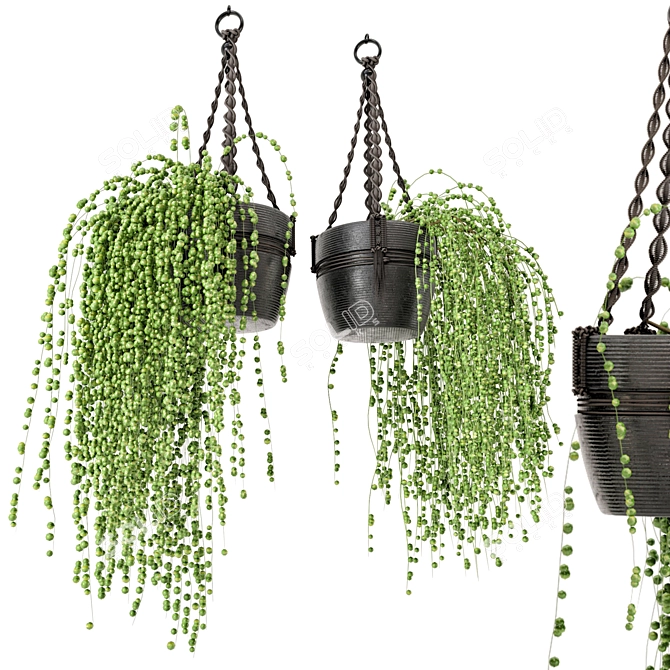 Rustic Hanging Plants Set with Macrame 3D model image 2