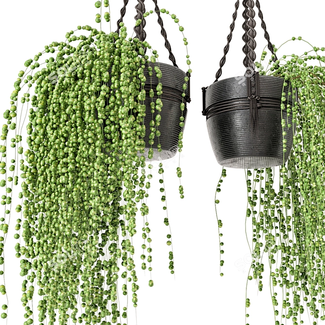 Rustic Hanging Plants Set with Macrame 3D model image 4