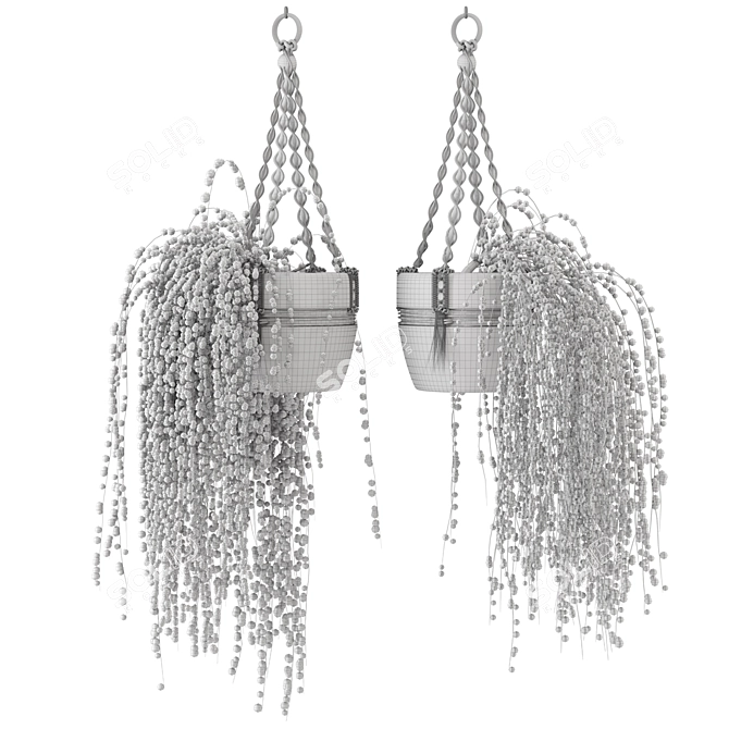 Rustic Hanging Plants Set with Macrame 3D model image 5