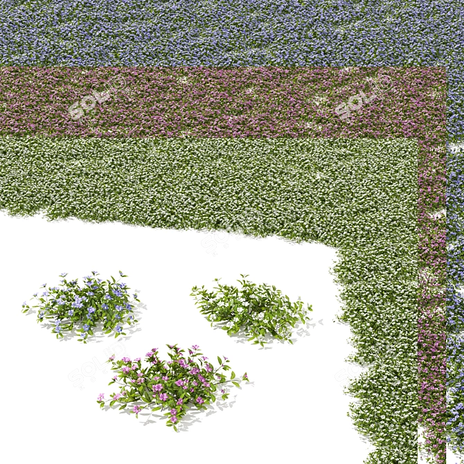 Compact Periwinkle Bushes | Vinca Minor 3D model image 7