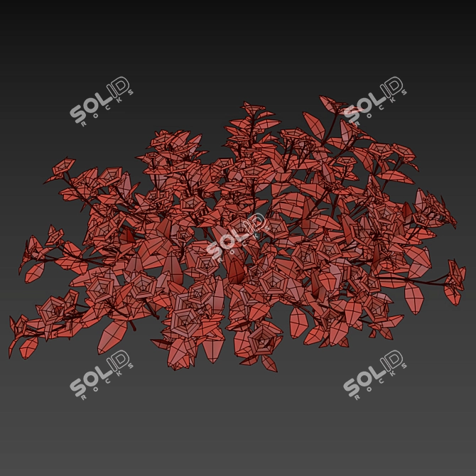 Compact Periwinkle Bushes | Vinca Minor 3D model image 8