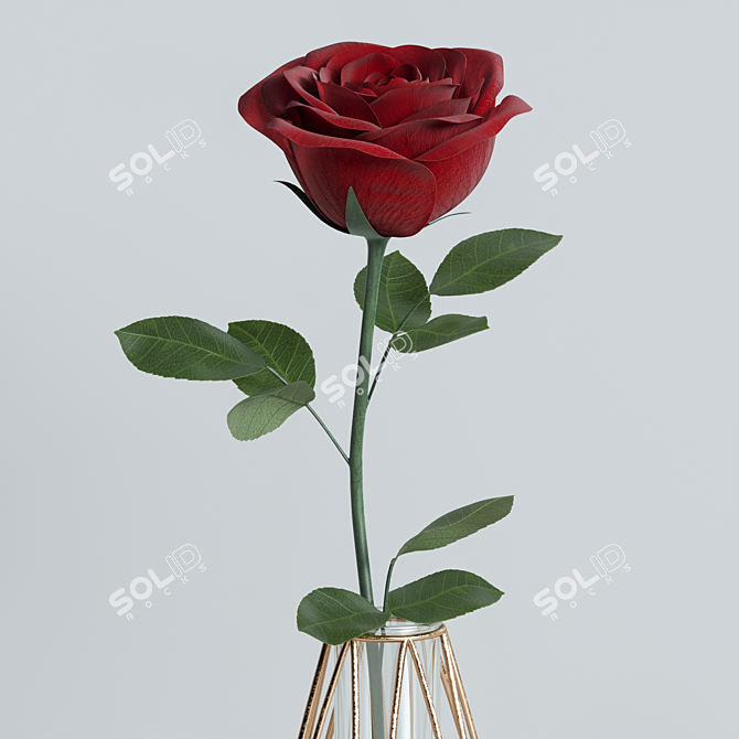 Elegant Red Rose Decor Set 3D model image 8