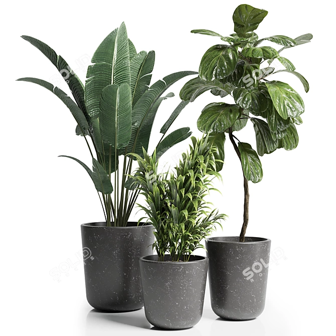 21 Indoor Plant: 3Dmax Model (Vray & Corona) 3D model image 1