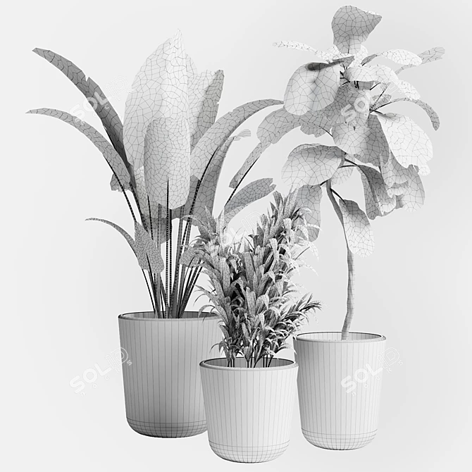 21 Indoor Plant: 3Dmax Model (Vray & Corona) 3D model image 4